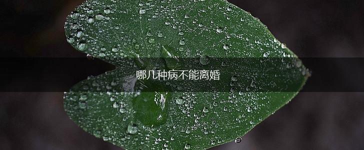 哪几种病不能离婚,第1张