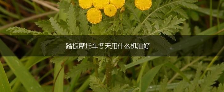 踏板摩托车冬天用什么机油好,第1张