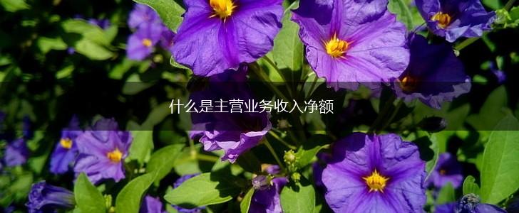 什么是主营业务收入净额,第1张