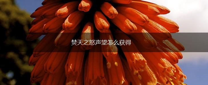 焚天之怒声望怎么获得,第1张