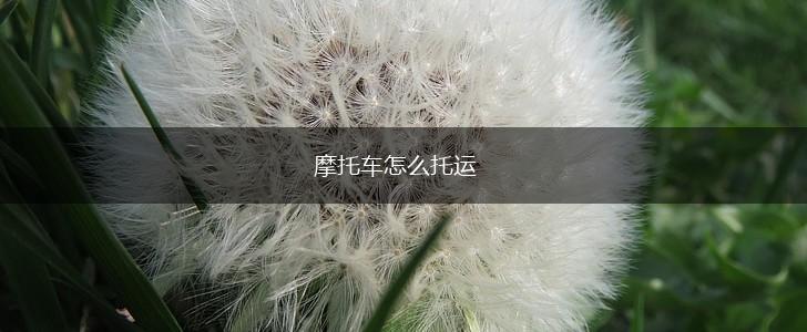 摩托车怎么托运,第1张