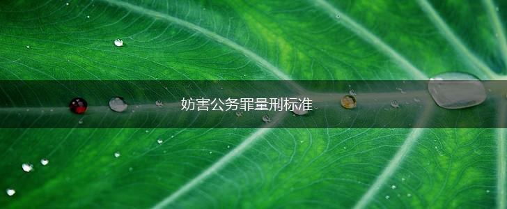 妨害公务罪量刑标准,第1张