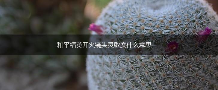 和平精英开火镜头灵敏度什么意思,第1张