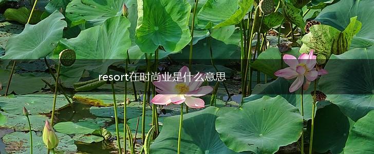 resort在时尚业是什么意思,第1张
