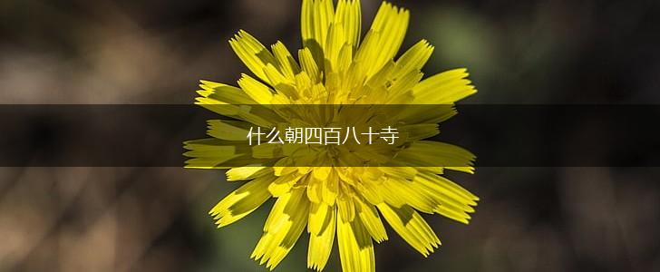 什么朝四百八十寺,第1张 什么朝四百八十寺,第1张