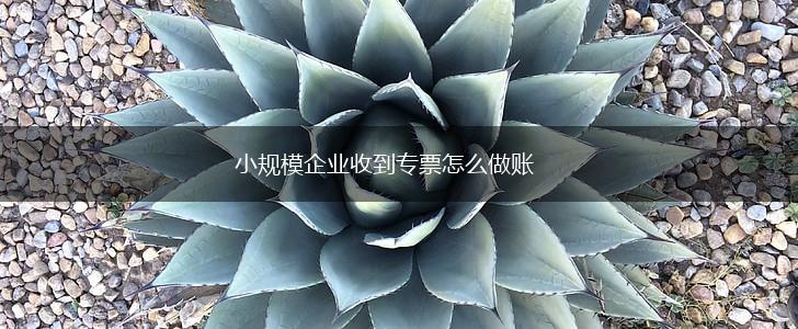 小规模企业收到专票怎么做账,第1张