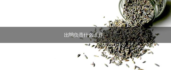 出纳负责什么工作,第1张