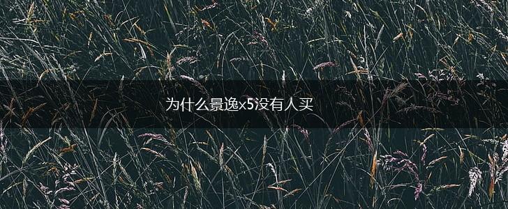为什么景逸x5没有人买,第1张