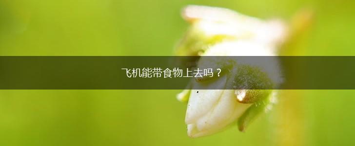 飞机能带食物上去吗？,第1张