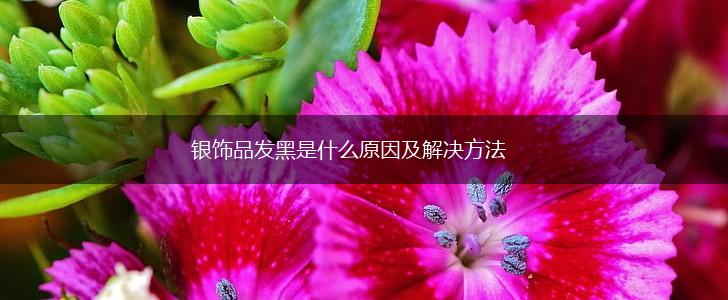 银饰品发黑是什么原因及解决方法,第1张