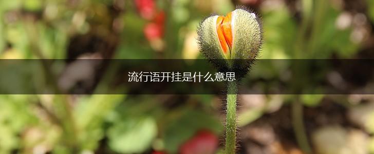 流行语开挂是什么意思,第1张