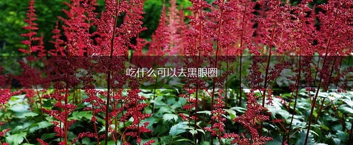 吃什么可以去黑眼圈,第1张