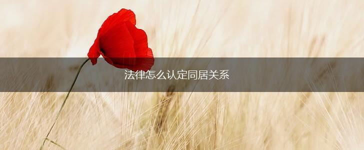 法律怎么认定同居关系,第1张 法律怎么认定同居关系,第1张
