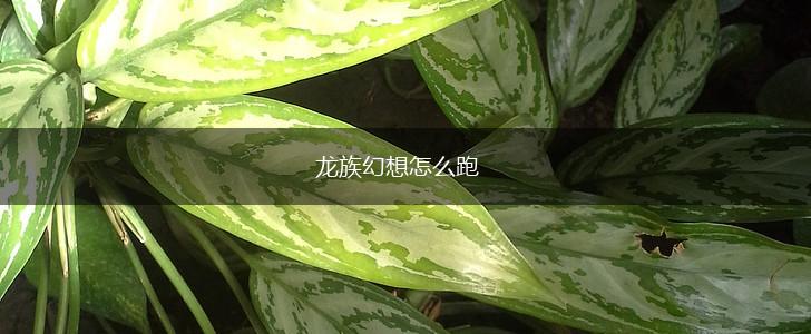 龙族幻想怎么跑,第1张