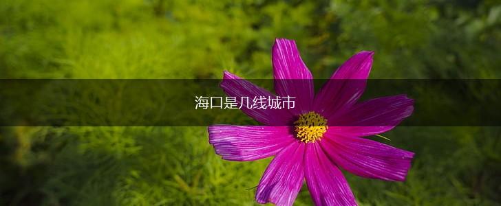 海口是几线城市,第1张