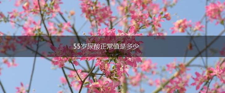 55岁尿酸正常值是多少,第1张