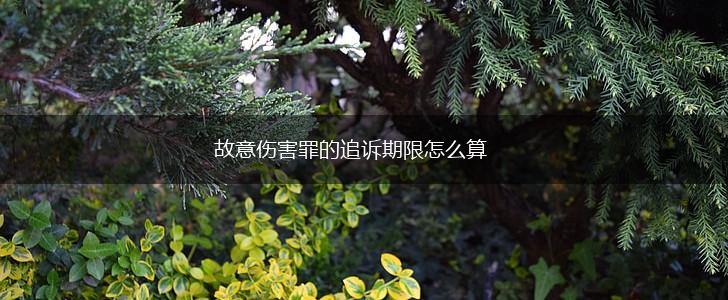 故意伤害罪的追诉期限怎么算,第1张