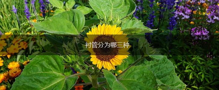 衬管分为哪三种,第1张