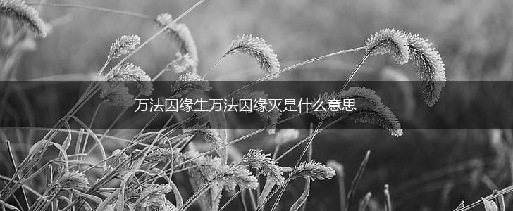 万法因缘生万法因缘灭是什么意思,第1张