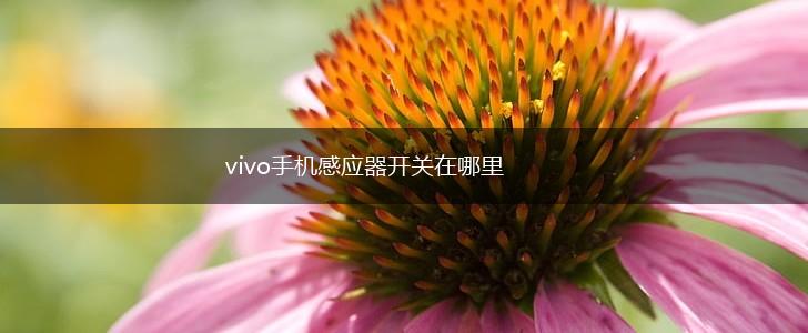 vivo手机感应器开关在哪里,第1张
