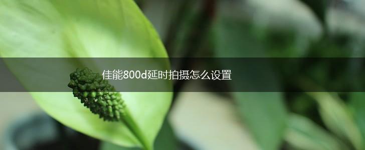 佳能800d延时拍摄怎么设置,第1张