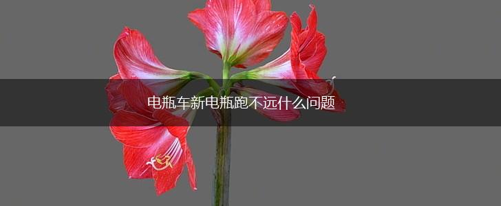 电瓶车新电瓶跑不远什么问题,第1张 电瓶车新电瓶跑不远什么问题,第1张
