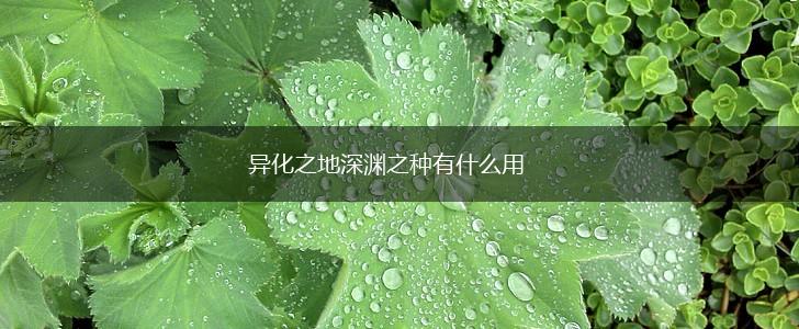 异化之地深渊之种有什么用,第1张