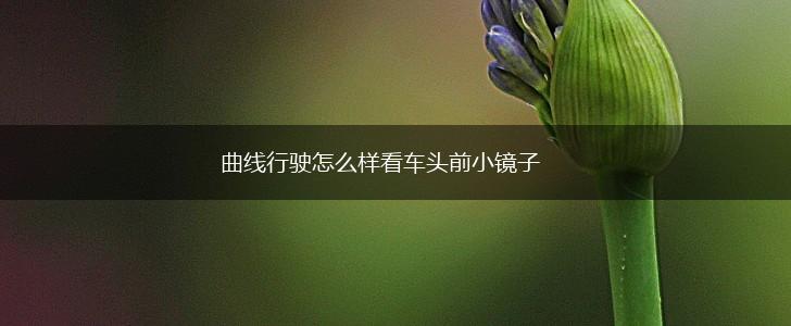 曲线行驶怎么样看车头前小镜子,第1张