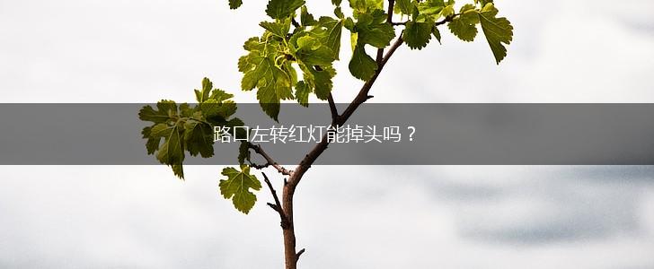 路口左转红灯能掉头吗？,第1张