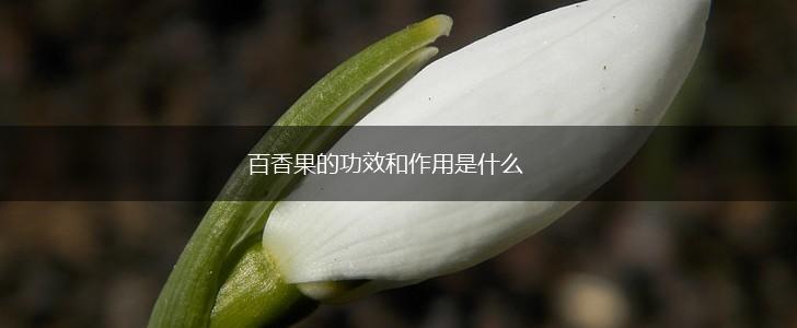 百香果的功效和作用是什么,第1张
