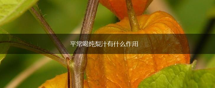 平常喝炖梨汁有什么作用,第1张