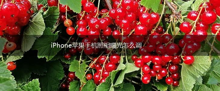 iPhone苹果手机照相曝光怎么调,第1张