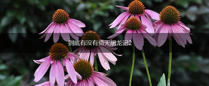 到底有没有倚天屠龙记2,第1张