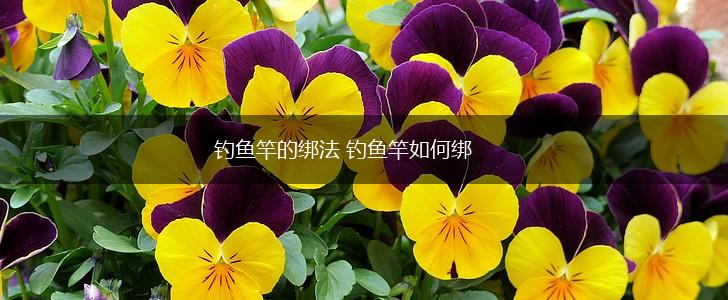 钓鱼竿的绑法 钓鱼竿如何绑,第1张