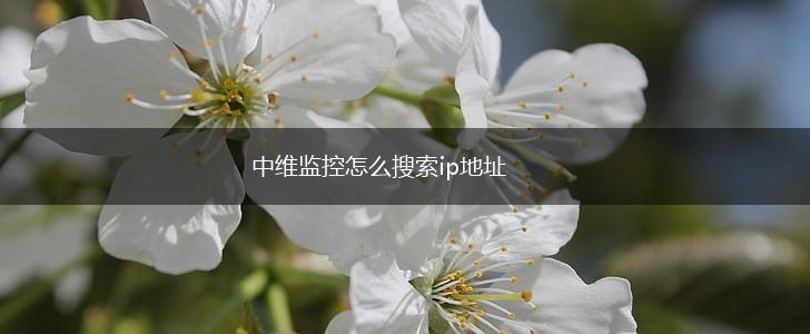 中维监控怎么搜索ip地址,第1张