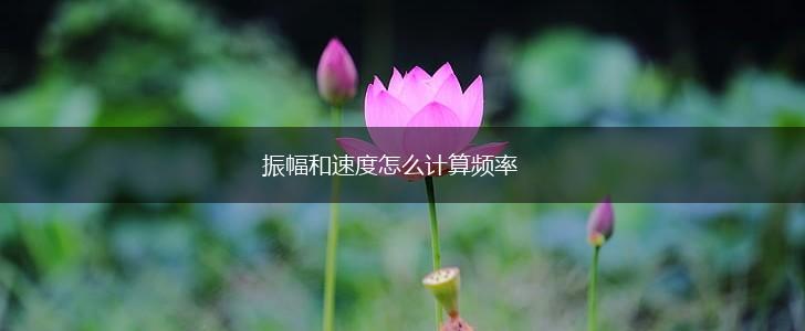 振幅和速度怎么计算频率,第1张