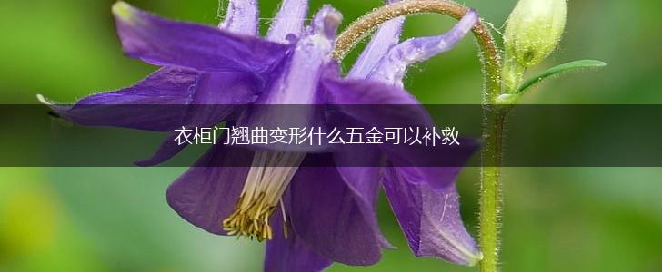 衣柜门翘曲变形什么五金可以补救,第1张