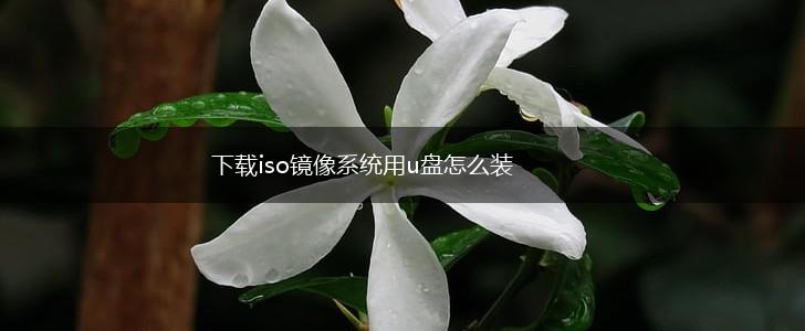 下载iso镜像系统用u盘怎么装,第1张