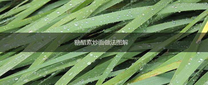 糖醋素炒面做法图解,第1张