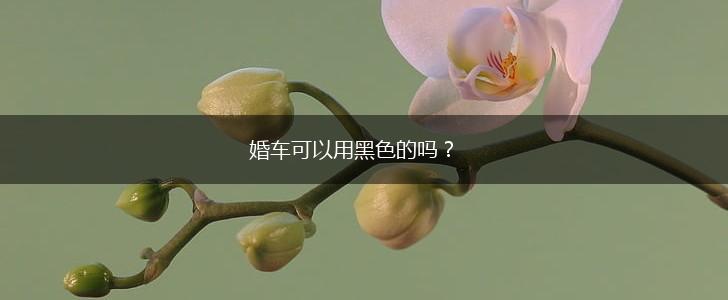 婚车可以用黑色的吗？,第1张