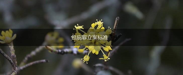包庇罪立案标准,第1张