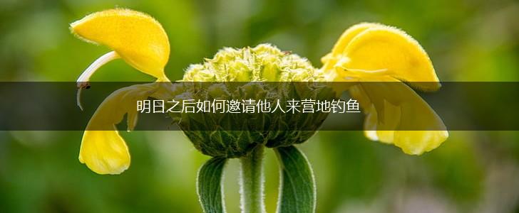 明日之后如何邀请他人来营地钓鱼,第1张
