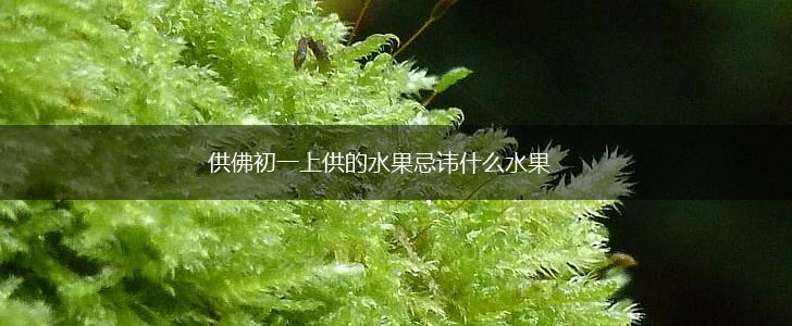 供佛初一上供的水果忌讳什么水果,第1张