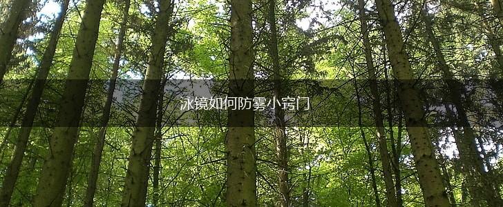 泳镜如何防雾小窍门,第1张