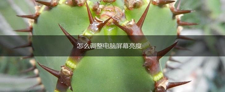 怎么调整电脑屏幕亮度,第1张