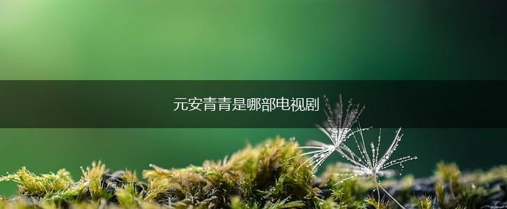 元安青青是哪部电视剧,第1张