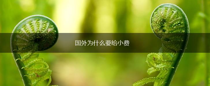 国外为什么要给小费,第1张