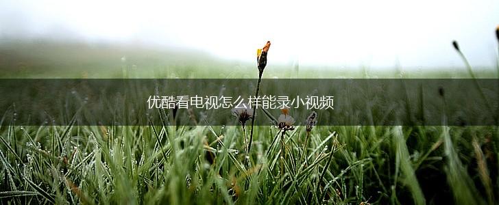 优酷看电视怎么样能录小视频,第1张