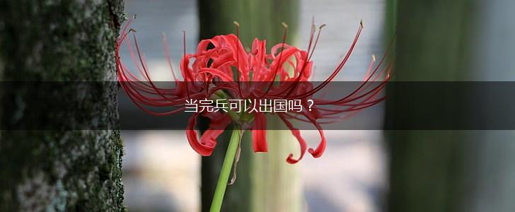 当完兵可以出国吗？,第1张