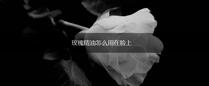 玫瑰精油怎么用在脸上,第1张